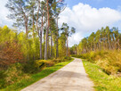 Działka o powierzchni 5524 m2- 12km od Kołobrzegu - 1