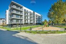 Mieszkanie 2 pokojowe, słoneczne - 3