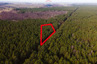 Działka budowlana w lesie - Ziewanice gmina Głowno - 4