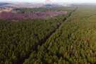 Działka budowlana w lesie - Ziewanice gmina Głowno - 5
