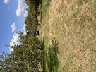 ???? Działka 2000 m² w Lubinie – Idealna inwestycja! - 3