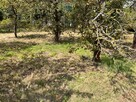 ???? Działka 2000 m² w Lubinie – Idealna inwestycja! - 6