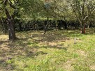 ???? Działka 2000 m² w Lubinie – Idealna inwestycja! - 7