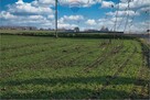 Działka inwestycyjna- Świdnik Duży Drugi - 10