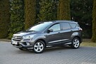 Ford Kuga 1.5 150KM ST-Line! Serwis! Ideał!!! - 14