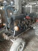 Papaj S18 - 3
