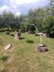 Sprzedam działkę budowlaną ze stawem - 9