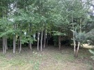 Serock, kształtna działka budowlana 600 m od Narwi - 6
