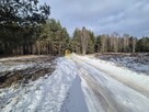 Siedlisko do adaptacji na Podlaskiej wsi - 5