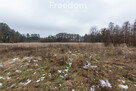 Działka budowlana Kotuń gm.Szydłowo 1650 m2 - 9