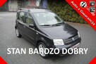 Fiat Panda Climatronic Stan b.dobry Bez rdzy i korozji  100%sprawny Gwarancja 12m - 1