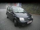 Fiat Panda Climatronic Stan b.dobry Bez rdzy i korozji  100%sprawny Gwarancja 12m - 9