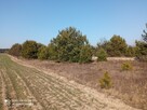 Działka budowlana Jesionka gm. Czosnów, - 3