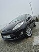 Ford Fiesta - 10