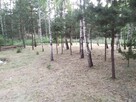 Działka budowlana nad Zalewem Domaniowskim - 5