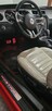 FORD MUSTANG 3,7 PREMIUM LPG - 14