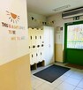 Przedszkole dla dzieci z Autyzmem - 4