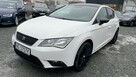 Seat Leon Benzyna Zarejestrowany Ubezpieczony - 16