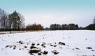 Działka pod Kazimierzem-16ar spokojna okolica!! - 3