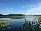 Dom Warmiński z linią brzegową jeziora i pomostem - 8