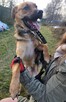 Czaruś do adopcji - 9