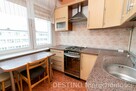 Okolica galerii Amber - 3 pokoje z balkonem 48m2 - 7