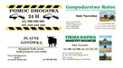 CV na zamówienie, Projekt wizytówek, Przepisywanie tekstu - 2