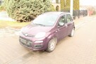 Fiat Panda - 1