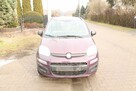 Fiat Panda - 2