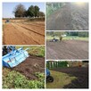 Kompleksowe utrzymanie terenów zewnętrznych(koszenie trawy, - 12