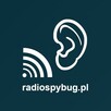 Nadajnik Radiowy Pluskwa Podsłuch 70cm 433Mhz - 8