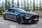 MERCEDES-BENZ CLS AMG 53 4MATIC+ AMG SPEEDSHIFT TCT 9G LIMITED EDITION - 15