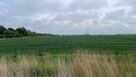 Działka budowlana Ustronie Morskie - 1