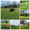 Kompleksowe utrzymanie terenów zewnętrznych(koszenie trawy, - 2
