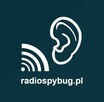 Podsłuch Pluskwa Radiowa 433Mhz - 4