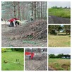 Kompleksowe utrzymanie terenów zewnętrznych(koszenie trawy, - 15