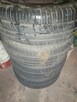 195/55 R16 Pirelli cintrato Run Flat Bmw e 46 - 5