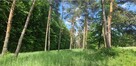 Działka budowlana Zębice gm. Siechnice, Parkowa - 9