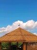 Nowy piękny dom z widokiem na góry, sauna, kominek,bania - 11