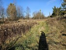 Atrakcyjna działka w otoczeniu zabudowy i zieleni - 4