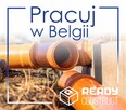 Pracownik fizyczny - montaż kanalizacji zwe. - BELGIA - 1