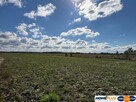 Działka pod Twój dom na łonie natury blisko W-wy - 4