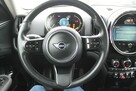 Mini Countryman - 14