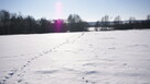Piękna działka rolno-budowlana, Żminne, Parczew. - 7