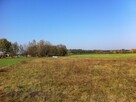 Działka z WZ 90km od Warszawy-Płońsk-Płock-Raciąż - 4