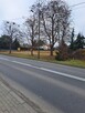 Dr. krajowa nr 10 73-210 Recz Promenada 2448 m² - 4