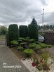Usługi pielęgnacji ogrodów, przycinanie żywopłotów, drzew - 5