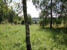 DZIAŁKI REKREACYJNO-BUDOWLANE - 8