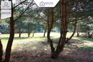 Duża działka przy lesie w Wielgowie - 4