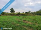 Nieruchomość gruntowa z zabudową - Wierzchowiska - 13
